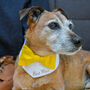 Personalised Dog Bow Tie Wedding Bandana, thumbnail 2 of 12