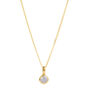 June Birthstone Moonstone Gold Vermeil Charm Necklace, thumbnail 3 of 9