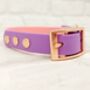 Waterproof Dog Collar And Lead Set Baby Pink/Amethyst, thumbnail 2 of 3