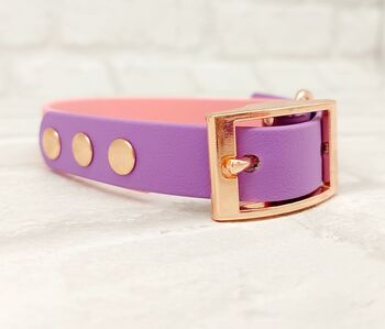 Waterproof Dog Collar And Lead Set Baby Pink/Amethyst, 2 of 3