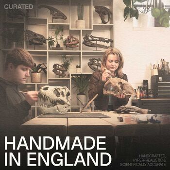 Guanlong Skull – Dinosaur Model – Prehistoric Decor, 4 of 4