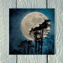 Moonlit Trees On Skye Greetings Card, thumbnail 1 of 2