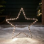Set Of Two Willow Christmas Star Stake Lights, thumbnail 1 of 2