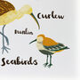 'British Seabirds' Illustrated Print, thumbnail 7 of 7