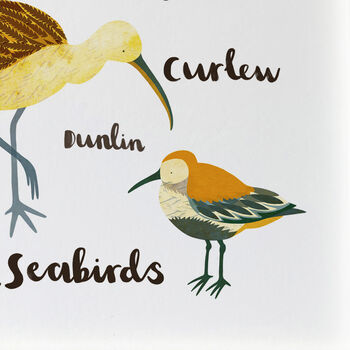 'British Seabirds' Illustrated Print, 7 of 7
