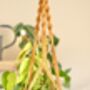 Diy Macrame Plant Hanger Kit, thumbnail 8 of 10