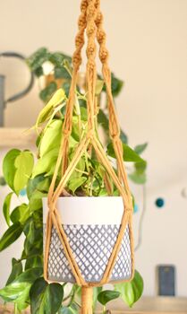 Diy Macrame Plant Hanger Kit, 8 of 10