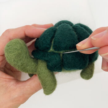 Needle Felting Kit Tortoise, 3 of 10