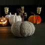 Grey Wool Pumpkin With Twiggy Stems, thumbnail 1 of 2
