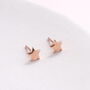 Sterling Silver 'You Are A Star' Star Earrings, thumbnail 7 of 9