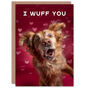 Wuff You Fun Golden Retriever Dog Love Valentine's Card, thumbnail 1 of 6