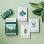 Houseplant Care Cards, thumbnail 1 of 3