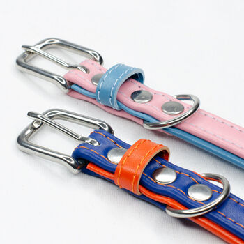 Padded Leather Dog Collar, 2 of 7