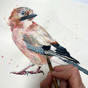Inky Jay Bird Illustration Print, 4 of 11