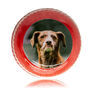 Personalised Cricket Ball Photo Printed, thumbnail 8 of 9