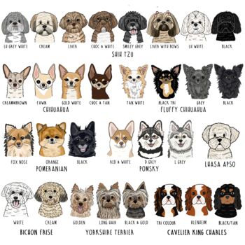 Personalised You And Your Pet Back To School Kids Backpack, 12 of 12