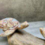 Double Painted Turtle Figurine Ornament – Root Sculpture, thumbnail 12 of 12