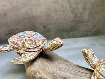 Double Painted Turtle Figurine Ornament – Root Sculpture, 12 of 12