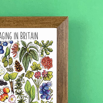 Foraging Plants Of Britain Wildlife Print, 6 of 7