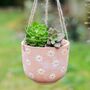 Terracotta Daisy Planter With A Cactus Or Succulent, thumbnail 3 of 3
