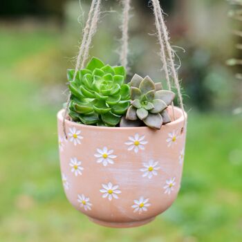 Terracotta Daisy Planter With A Cactus Or Succulent, 3 of 3