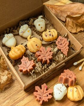 Autumnal Wax Melt Selection Box For Autumn Decor, 2 of 10