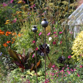 Handmade Poppyhead Garden Stake In Raw Steel, 5 of 5