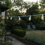 Pastel Festoon String Lights, thumbnail 1 of 5