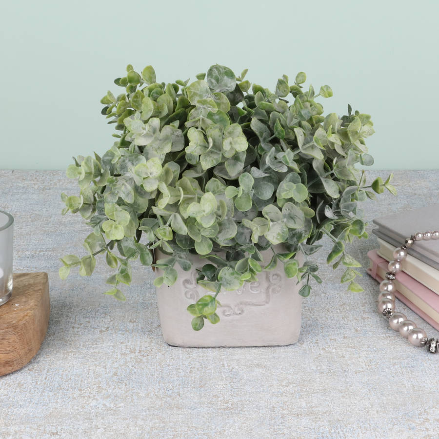 artificial eucalyptus plant in pot by dibor