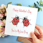 Ladybird Valentine's Day Card, thumbnail 5 of 5