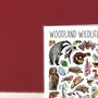 Woodland Wildlife Of Britain Greeting Card, thumbnail 6 of 8