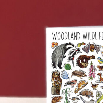 Woodland Wildlife Of Britain Greeting Card, 6 of 8