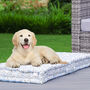 Ditsy Floral Reversible Cotton Dog Bed, thumbnail 1 of 10