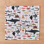 Sea Life Handkerchief Pocket Square, thumbnail 2 of 2