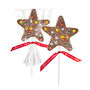 Duo Pack Milk Or White Chocolate Star Lollies, thumbnail 1 of 2