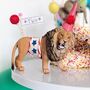 Personalised Party Animal Circus Cake Topper Set, thumbnail 6 of 8