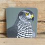 Birds Of Prey Coasters 'Choice Of Four Designs', thumbnail 2 of 5