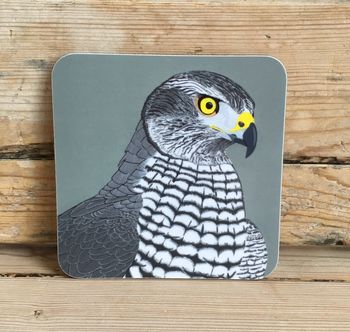 Birds Of Prey Coasters 'Choice Of Four Designs', 2 of 5