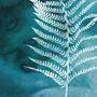 Fern No.One Limited Edition Fine Art Print, thumbnail 2 of 3