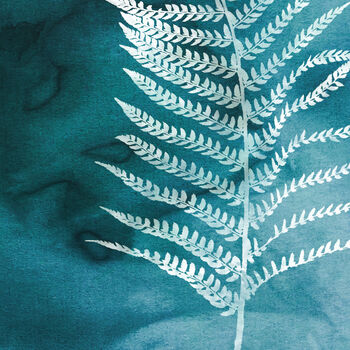 Fern No.One Limited Edition Fine Art Print, 2 of 3