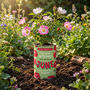 Personalised June Grow Your Own Flower Gift, thumbnail 3 of 4