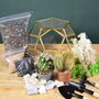 Gold Geometric Terrarium Kit With Succulent Christmas Plant Lover Gift, thumbnail 7 of 7