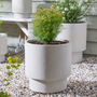 Noma Beige Footed Planter, thumbnail 3 of 8
