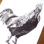 Five Framed Pen And Ink Illustrations Of Farm Animals, thumbnail 3 of 11
