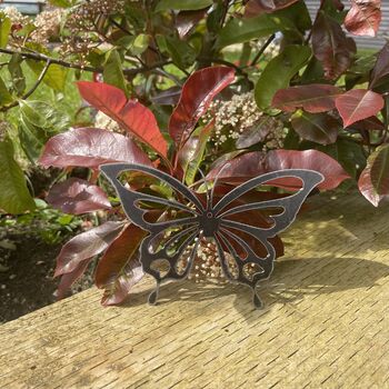 Butterfly Insect Mobile, Metal Art For Home And Garden, 2 of 12