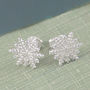 Snowflake Sterling Silver Stud Earrings, thumbnail 1 of 9