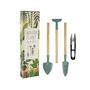 The Potting Shed Indoor Plant Care Kit, thumbnail 2 of 4