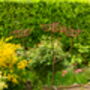 Rusty Metal Cow Parsley, thumbnail 4 of 8