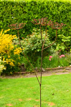 Rusty Metal Cow Parsley, 4 of 8