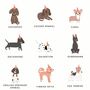 Dog Dad Father's Day Card And The Dog Lover's A To Z Package, thumbnail 9 of 12